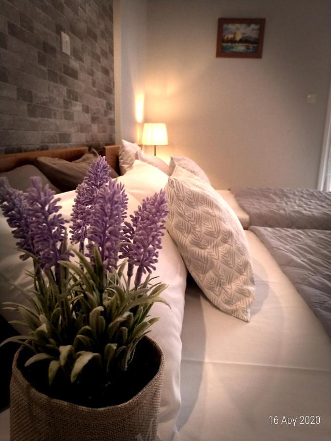 Adonis Apartments ปาราเลียกาเตอรีนิส ภายนอก รูปภาพ